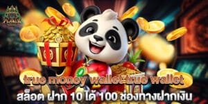 true money wallet true wallet สล็อต ฝาก 10 ได้ 100 ช่องทางฝากเงิน